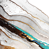 section image